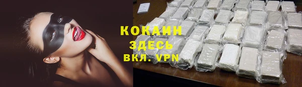 твердый Новодвинск