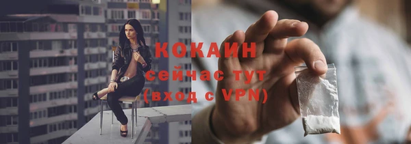 твердый Новодвинск