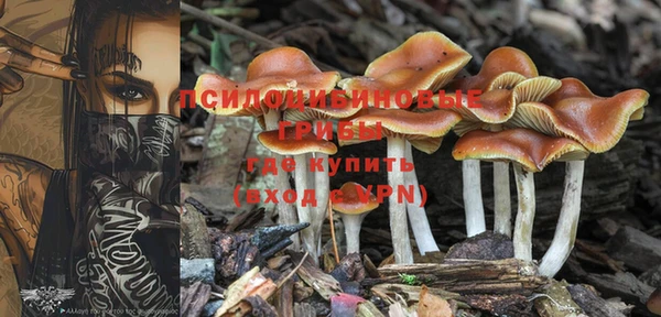 твердый Новодвинск