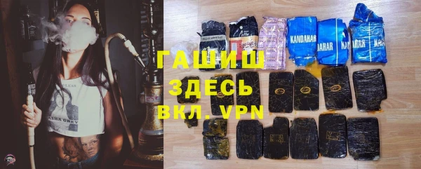 твердый Новодвинск
