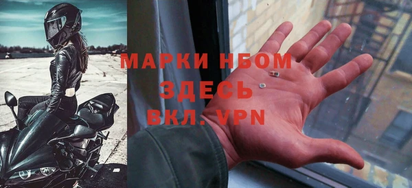 твердый Новодвинск