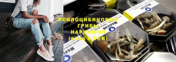 твердый Новодвинск
